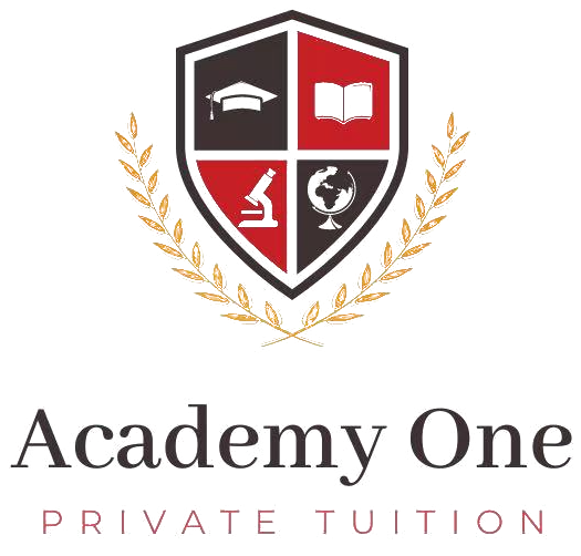 Academy One Private Tuition